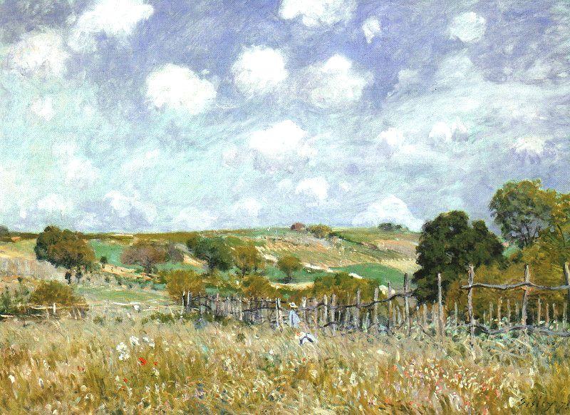 Alfred Sisley Meadow oil painting picture
